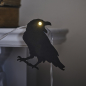 Preview: Halloween Rabe Licherkette