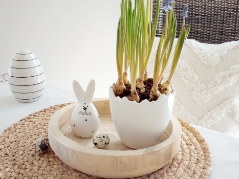 Preview: Blumentopf Eierschale