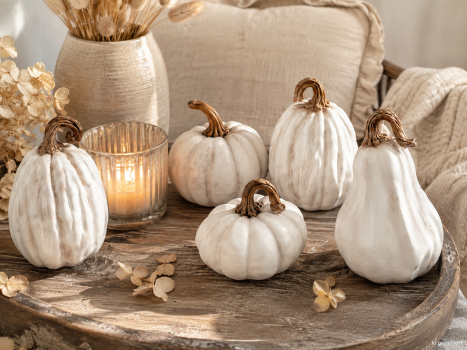 Weiße Deko-Kürbisse – Herbstdeko Kürbis | 3 Größen